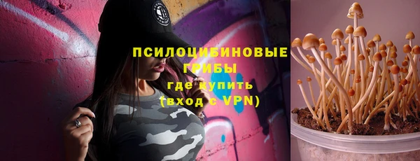 тгк Алзамай