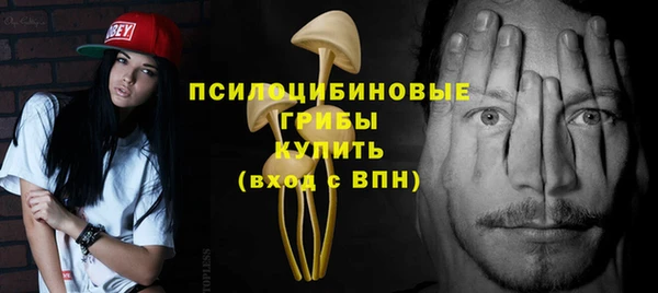 тгк Алзамай
