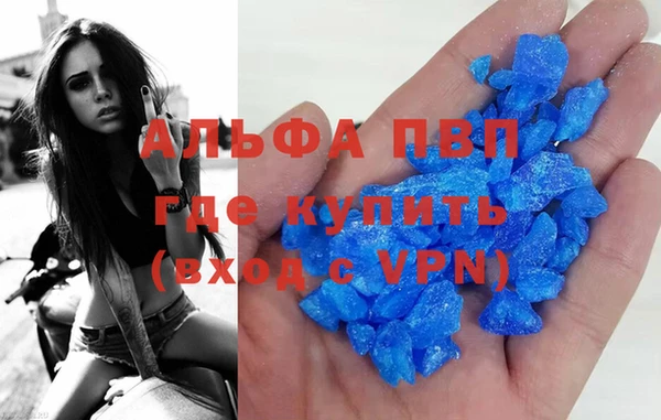крисы Алексин
