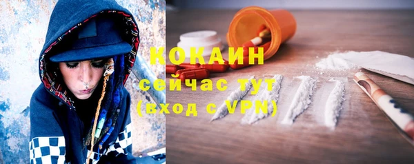 тгк Алзамай