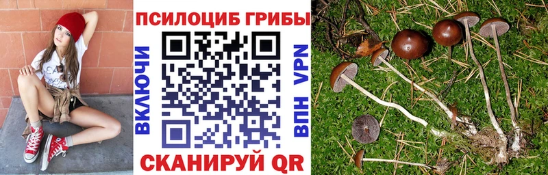 купить наркоту  Ковров  Псилоцибиновые грибы мицелий 
